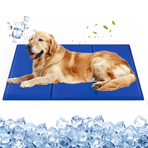 petnf Kühlmatte für Hunde & Katzen – Selbstkühlende Gel-Matte mit Doppelschicht-PVC, Wasserdicht & Kratzfest – Ideal für Zuhause, Auto, Garten – 60x90cm petnf Kühlmatte für Hunde & Katzen – Selbstkühlende Gel-Matte mit Doppelschicht-PVC, Wasserdicht & Kratzfest – Ideal für Zuhause, Auto, Garten – 60x90cm von petnf