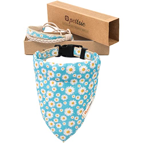 Pettsie Hundehalsband mit Bandana Tuch und Freundschaftsarmband, einstellbare Größen S und M, stark und langlebig, tolles Geschenk für Hundeliebhaber in attraktiven Verpackung, S, Türkis von pettsie