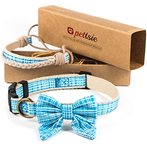 Pettsie Hundehalsband mit Fliege und Freundschaftsarmband, Größen S und M, Komfortables Designer Hanf, stark und langlebig, tolles Geschenk für Hundeliebhaber in attraktiven Verpackung, S, Blau von pettsie