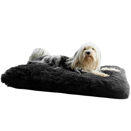 petzy Plüsch Hundebett, Größe M (80x60x14 cm) | Flauschig & waschbar für große, kleine und mittlere Hunde | Multifunktionale Hundematte, extra dick & bequem | Hundekissen & Katzenkissen (M, Anthrazit) von petzy