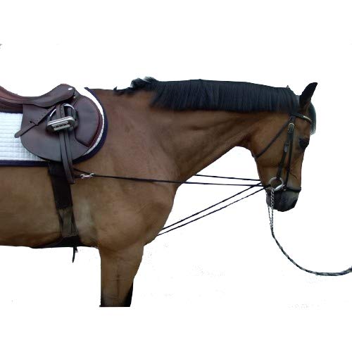 pfote-und-huf Dreieckszügel Wiener Zügel Laufferzügel Warmblut extra pfote-und-huf Dreieckszügel Wiener Zügel Laufferzügel Warmblut extra von pfote-und-huf