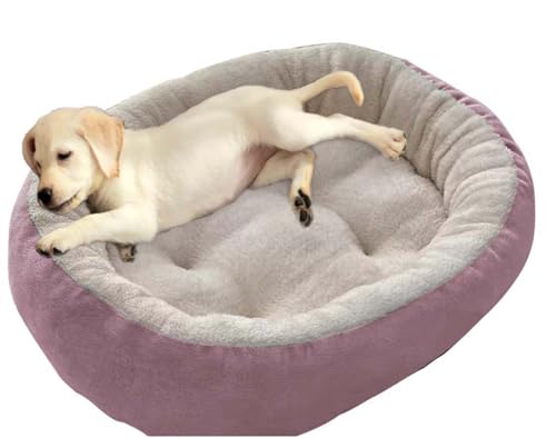 Beruhigendes großes Hundebett, rutschfest, rund, Plüsch-Hundebetten, groß, waschbar, Sofakissen, wärmend, Donut-Haustierbetten für den Innenbereich, schlafende Hunde und Katzen (Rosa, 75 x 60 cm) Beruhigendes großes Hundebett, rutschfest, rund, Plüsch-Hundebetten, groß, waschbar, Sofakissen, wärmend, Donut-Haustierbetten für den Innenbereich, schlafende Hunde und Katzen (Rosa, 75 x 60 cm) von ping bu