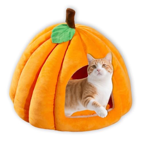 Katzenhaus für den Innenbereich, waschbar, Haustierhöhle, Zelt, tiefschlafend, beruhigendes Hundehaus mit Anti-Angstkissen, Haustierbett, rutschfestes Sofa, Zwinger (S-38 x 38 x 32 cm, Orange) von ping bu