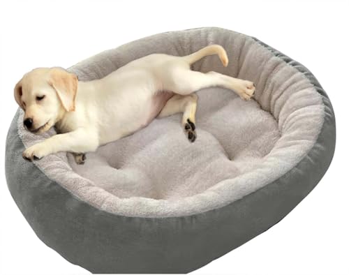 ping bu Beruhigendes großes Hundebett, rutschfest, rund, Plüsch-Hundebetten, groß, waschbar, Sofakissen, wärmend, Donut-Haustierbetten für den Innenbereich, schlafende Hunde und Katzen (Grau, 60 x 45 ping bu Beruhigendes großes Hundebett, rutschfest, rund, Plüsch-Hundebetten, groß, waschbar, Sofakissen, wärmend, Donut-Haustierbetten für den Innenbereich, schlafende Hunde und Katzen (Grau, 60 x 45 von ping bu
