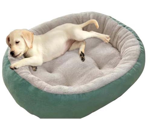 ping bu Beruhigendes großes Hundebett, rutschfest, rund, Plüsch-Hundebetten, groß, waschbar, Sofakissen, wärmend, Donut-Haustierbetten für den Innenbereich, schlafende Hunde und Katzen (Grün, 50 x 40 ping bu Beruhigendes großes Hundebett, rutschfest, rund, Plüsch-Hundebetten, groß, waschbar, Sofakissen, wärmend, Donut-Haustierbetten für den Innenbereich, schlafende Hunde und Katzen (Grün, 50 x 40 von ping bu