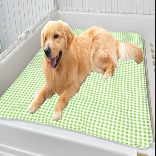 ping bu Großes Hunde- und Katzenbett, waschbar, warm, weich, Schlafkissen, Katzenbett-Matratze, Hundekäfig-Matte für kleine, mittelgroße und große Haustiere (Grün, 60 x 80 cm) von ping bu