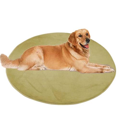 ping bu Großes Hundebett, Haustier- und Katzenmatte, rund, weicher, warmer Plüsch-Teppich, rutschfester Teppich, beruhigend, für den Innenbereich, waschbar, Hundekissen, Bodenmatte (60 x 60 cm, Grün) ping bu Großes Hundebett, Haustier- und Katzenmatte, rund, weicher, warmer Plüsch-Teppich, rutschfester Teppich, beruhigend, für den Innenbereich, waschbar, Hundekissen, Bodenmatte (60 x 60 cm, Grün) von ping bu