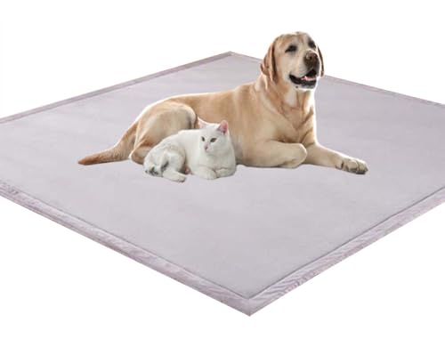 ping bu Großes Hundebett, Haustierkissen, weicher, warmer Korallensamt, rutschfester Teppich, beruhigender Katzenbett, waschbar, Hundekissen, Bodenmatte (100 x 100 x 2 cm, Grau) von ping bu