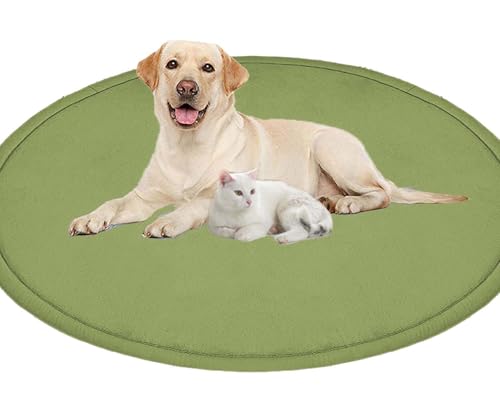 ping bu Großes Hundebett, Haustiermatte, rund, weich, warm, Korallensamt, rutschfester Teppich, beruhigend, für den Innenbereich, waschbar, Hundekissen, Bodenmatte (120 cm, Grün) von ping bu