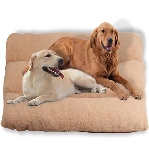 ping bu Großes Hundebett, flauschig, abnehmbar, luxuriöses Hundebett, Anti-Angst, waschbarer Bezug, weiche Hundebetten für Zuhause, Wohnzimmer, Küche (Beige, L: 120 x 80 cm) von ping bu
