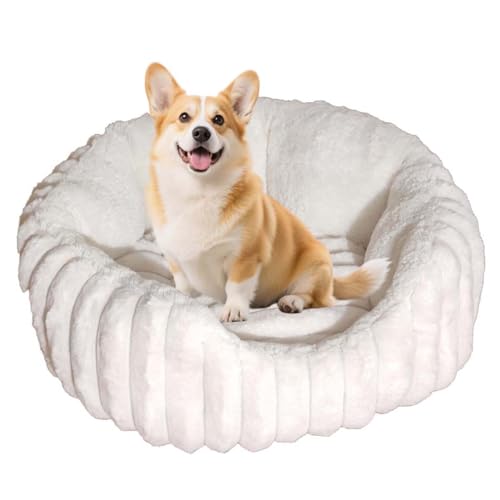 ping bu Orthopädisches Hunde- und Katzenbett aus Plüsch, Matratze für mittelgroße Hunde, waschbar, weich, rechteckig, beruhigendes Hunde- und Katzenbett, Anti-Angst, rutschfest (Weiß, 65 x 75 cm) von ping bu