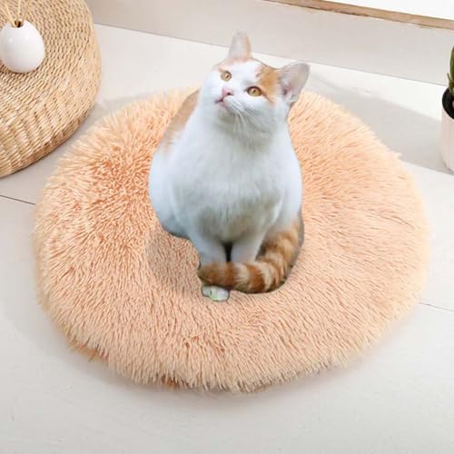ping bu Set mit 2/3 Plüsch-Katzenbetten, beruhigende Donut-Katzenbettmatte, waschbar, weich, wärmend, runde Matratze, Haustierbox-Betten für den Innenbereich, schlafende Katzen, Kätzchen (C, 2 Stück von ping bu