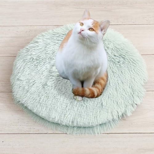 ping bu Set mit 2/3 Plüsch-Katzenbetten, beruhigende Donut-Katzenbettmatte, waschbar, weiche, wärmende, runde Matratze, Haustierbox-Betten für den Innenbereich, schlafende Katzen, Kätzchen, D, 3 Stück ping bu Set mit 2/3 Plüsch-Katzenbetten, beruhigende Donut-Katzenbettmatte, waschbar, weiche, wärmende, runde Matratze, Haustierbox-Betten für den Innenbereich, schlafende Katzen, Kätzchen, D, 3 Stück von ping bu