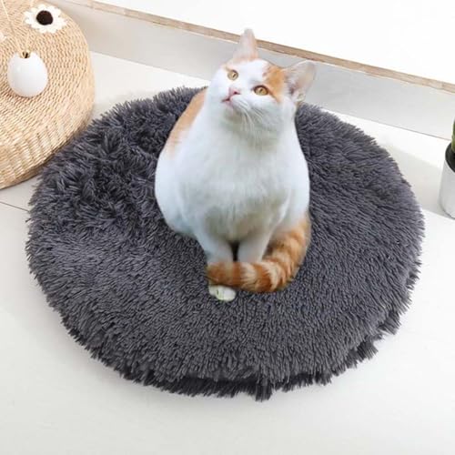 ping bu Set mit 2/3 Plüsch-Katzenbetten, beruhigende Donut-Katzenbettmatte, waschbar, weiche, wärmende, runde Matratze, Haustierbox-Betten für den Innenbereich, schlafende Katzen, Kätzchen (G, 2 Stück von ping bu