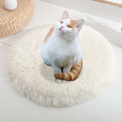 ping bu Set mit 2/3 Plüsch-Katzenbetten, beruhigende Donut-Katzenbettmatte, waschbar, weiche, wärmende, runde Matratze, Haustierbox-Betten für den Innenbereich, schlafende Katzen und Kätzchen (F,3 von ping bu