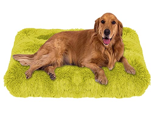 ping bu Weiches Plüsch-Hundebett, Größe M, extra groß, Hundebett, Matratze, waschbar, flauschig, gemütlich, Hundekissen, beruhigend, Katze, Hundebett, Matte (L - 67 x 60 cm, Hellgrün) von ping bu