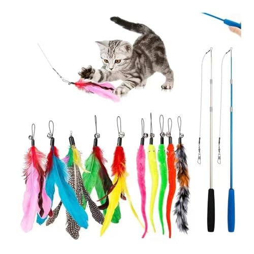 pipisweet 12 x Katzenspielzeug mit Federglocke, interaktives Spielzeug, Geschenk von pipisweet