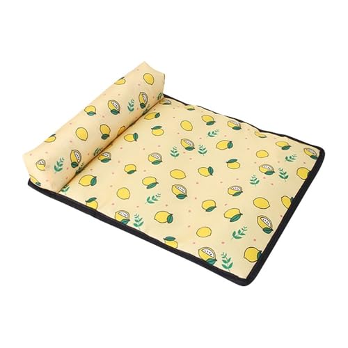 pipisweet Matte für Hunde und Katzen, Eisseide, Decke, Kissen für Zwinger/Sofa/Bett/Boden/Autositze (Hundematte), L 63 x 48 cm (B) von pipisweet