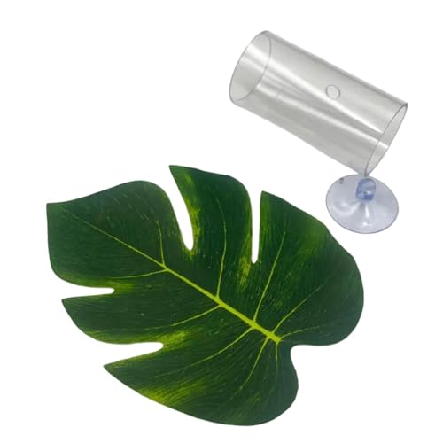 Betta Fish Tube Tunnel Aquarium Versteck mit Saugnapf, klare PC Fischhöhle zum Ausruhen und Zucht von pistro