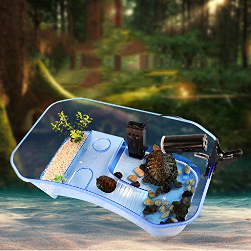 Futterbox für Reptilien, Terrapin / Schildkröte, Kunststoff, Blau von pistro