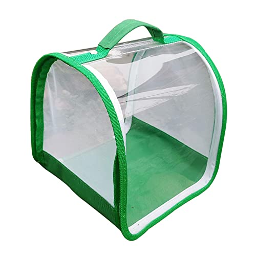 pistro Insekten- und Schmetterlings-Käfig, Grün und Weiß, 20 x 20 x 20 cm, zusammenklappbares Netz mit PVC, große Reißverschlussöffnung für einfachen Zugriff, Schmetterlingshilfe und Beobachtung von pistro
