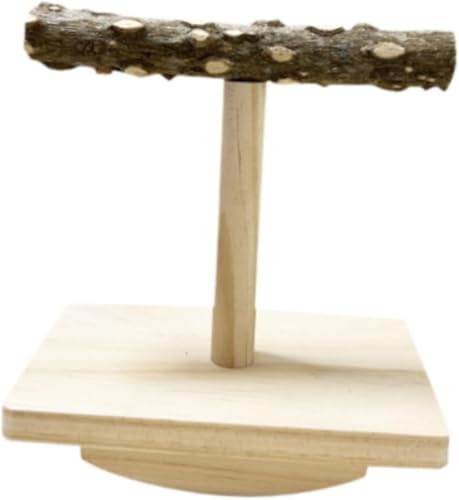 pistro Vogelständer Sitzstange Spielzeug – Massivholz Fitnessstudio für Papageien, Sittiche, Lovebirds – kompakte Größe Vogel-Trainingsstange – 15 x 8 x 4 cm von pistro