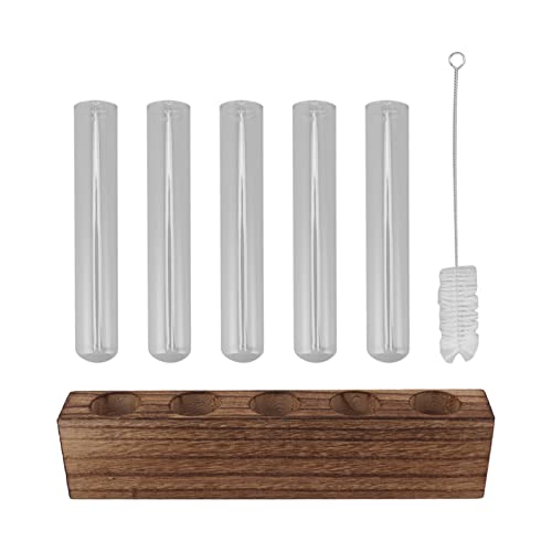 Glasanlagenausbreitungsstation Holzstillstand Testrohre Desktop Terrarium Mini Wohnkultur für Innenpflanzen Glas Kiefer 22x3x5 cm 500 g (5 Tubes) von plplaaoo