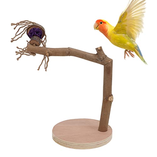 sicheres,Papageien-Barsch-Ständer, abnehmbares Naturholz-Spielzeug, Papageien-Desktop-Ständer, Leichter Vogel-Barsch-Ständer mit Basis für Vögel, Papageien, zum Training von Vögeln zum Stehen, Vo von plplaaoo
