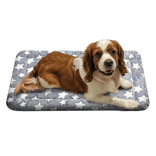 Hundebettunterlage für kleine/mittelgroße/große Hunde, weich, langlebig, waschbar und rutschfest, wendbar, Hundehütte, Katzenbett, Größe M (30 x 20 x 1,5 cm) von pobopobo