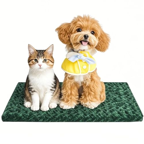Hundebettunterlage für kleine/mittelgroße/große Hunde, weich, langlebig, waschbar und rutschfest, wendbar, Hundehütte, Katzenbett (Magic Circle Green, S (24 x 18 x 1,5) von pobopobo