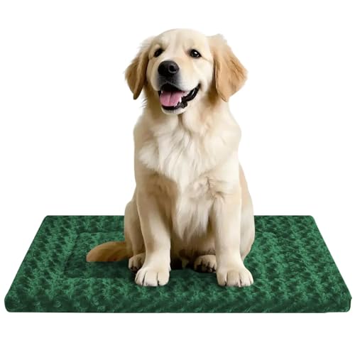 Hundebettunterlage für kleine/mittelgroße/große Hunde, weich, langlebig, waschbar und rutschfest, wendbar, Hundehütte, Katzenbett (Magischer Kreis, Grün, L (91,4 x 61 x 3,8 cm) von pobopobo