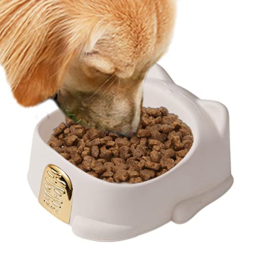 Futternapf für Katzen, für kleine Haustiere, unzerbrechlich, dick, für kleine Haustiere, geeignet für den Innenbereich von pologmase