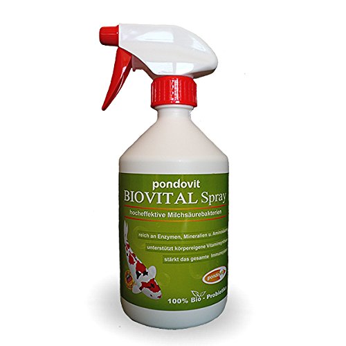 pondovit Biovital-Spray 500 ml hocheffektive Milchsäurebakterien, 100% Bio-Probiotika, Koi, Teich von pondovit