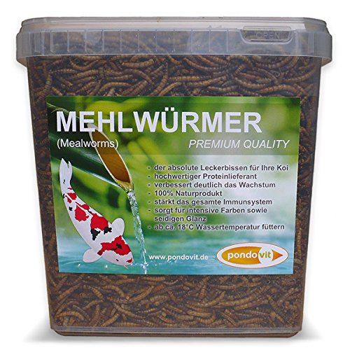 pondovit Mehlwürmer Premiumsnack für Kois, Leckerbissen, 5 l von pondovit