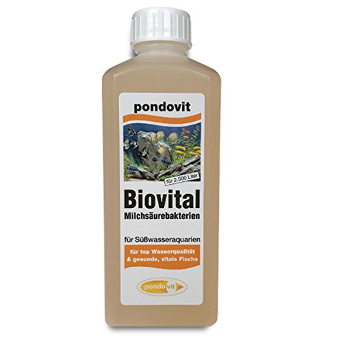 pondovit Milchsäurebakterien Biovital 250 ml, probiotische Bakterien, Wasserpflege von pondovit