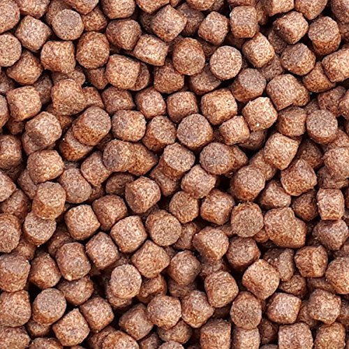 pondovit VITAL- Complete Premium Koifutter 6 kg / 6 mm, hochwertiges Hauptfutter, Fischfutter, Made in Germany pondovit VITAL- Complete Premium Koifutter 6 kg / 6 mm, hochwertiges Hauptfutter, Fischfutter, Made in Germany von pondovit