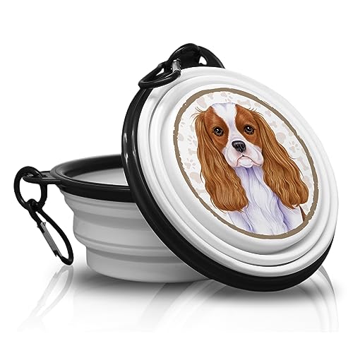 31. King Charles Spaniel - Falt, Tragbarer Trinknapf mit Karabiner für Unterwegs. Futternapf, Haustierschüssel. Handlich und Einzigartig. von power gift