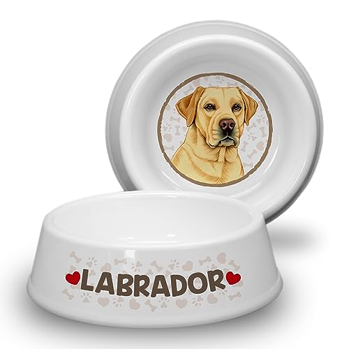 Labrador GELB/Cream - Hundenapf Ø 21cm. Rutschfester Futternapf/Trinknapf für mittlere Hunderassen. Fressnapf, Wasserschale, Haustierschüssel auch für Leckereien geeignet. Robust und Langlebig. von power gift