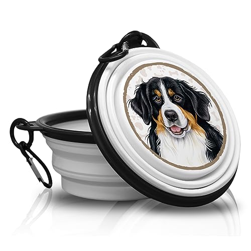 5. Berner - Fressnapf, Schüssel, Schale. Falt, Tragbarer Trinknapf mit Karabiner für Unterwegs. Futternapf, Haustierschüssel. Handlich und Einzigartig. von power gift