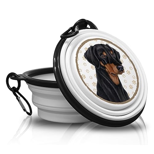 22. Dobermann - Fressnapf, Schüssel, Schale. Falt, Tragbarer Trinknapf mit Karabiner für Unterwegs. Futternapf, Haustierschüssel. Handlich und Einzigartig. von power gift