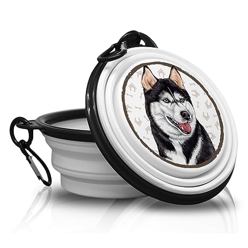 29. Husky - Falt, Tragbarer Trinknapf mit Karabiner für Unterwegs. Futternapf, Haustierschüssel. Handlich und Einzigartig. von power gift