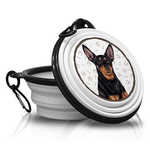 Zwergpinscher - Falt, Tragbarer Trinknapf mit Karabiner für Unterwegs. Futternapf, Haustierschüssel. Handlich und Einzigartig. von power gift