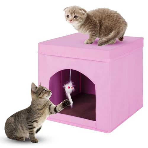 powerking Klappbare Katzenbetten für Indoor Katzen oder Kätzchen, Faltbare Katze Würfel und Katze Höhle Katze Kitty Hocker Condo, 13 x 13x 13 Zoll (Pink) powerking Klappbare Katzenbetten für Indoor Katzen oder Kätzchen, Faltbare Katze Würfel und Katze Höhle Katze Kitty Hocker Condo, 13 x 13x 13 Zoll (Pink) von powerking