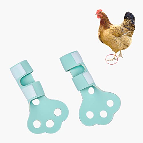pranovo Huhn-Schutzschuhe für Silkie Leghorn Hen Small Booster Regular Hen Feet Paws Bumblefoot 2 Stück pranovo Huhn-Schutzschuhe für Silkie Leghorn Hen Small Booster Regular Hen Feet Paws Bumblefoot 2 Stück von pranovo