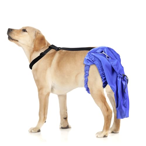 pranovo Hundeschwanzschutz für Hunde, Schwanzschutz, Heilmanschette für Hunde, Happy Tail Syndrom, Happy Tail Lösung, Hunde-Wundpflege pranovo Hundeschwanzschutz für Hunde, Schwanzschutz, Heilmanschette für Hunde, Happy Tail Syndrom, Happy Tail Lösung, Hunde-Wundpflege von pranovo