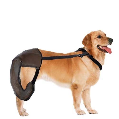 pranovo Hundeschwanzschutz für Hunde, atmungsaktives Netz, Schwanzschutz, atmungsaktiv, Netz-Abdeckung, Hundeschwanz, Heilmanschette mit Klettverschluss für Hunde, Happy Tail Lösung pranovo Hundeschwanzschutz für Hunde, atmungsaktives Netz, Schwanzschutz, atmungsaktiv, Netz-Abdeckung, Hundeschwanz, Heilmanschette mit Klettverschluss für Hunde, Happy Tail Lösung von pranovo