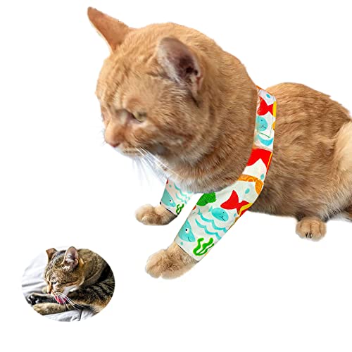pranovo Katzen-Überpflege-Ärmel mit Schultergurt, alternatives Kegelhalsband für Katzen, Vorderbeinschutz, leidet unter Angst und Überpflege pranovo Katzen-Überpflege-Ärmel mit Schultergurt, alternatives Kegelhalsband für Katzen, Vorderbeinschutz, leidet unter Angst und Überpflege von pranovo