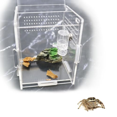 pranovo Magnetische Wasser-Futterstation zum Aufhängen, für Haustierspinnen, Springspinnen, Gehege, Zubehör, 2 Stück pranovo Magnetische Wasser-Futterstation zum Aufhängen, für Haustierspinnen, Springspinnen, Gehege, Zubehör, 2 Stück von pranovo