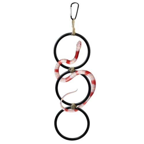 pranovo Schlangenkletterringe für Kugel-Python-Anreicherung, Kletterspielzeug für Maisschlange, Reptiletankkäfig, Dekoration, Lebensraum, Zubehör, Schlangenkletterer von pranovo