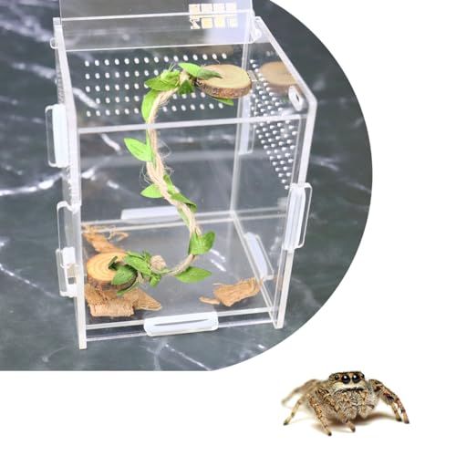 pranovo Springende Spinnenseilbrücke mit Magneten für Spoods Leiter Springspinnen Gehege Ledges Springspinne Klettern Zubehör 3 Stück pranovo Springende Spinnenseilbrücke mit Magneten für Spoods Leiter Springspinnen Gehege Ledges Springspinne Klettern Zubehör 3 Stück von pranovo